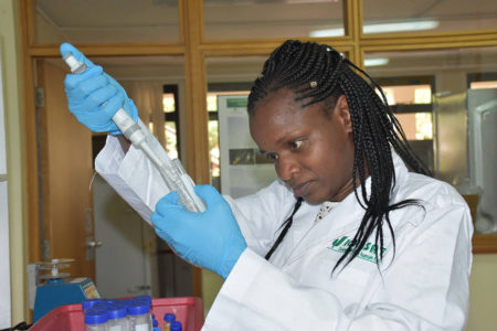 Photo of the researcher studying sorghum, millet and groundnuts.