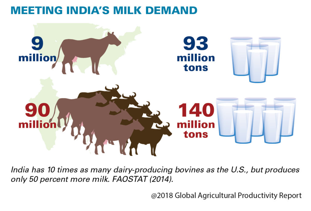 Sustainable Dairy In India Virginia Tech Cals Global