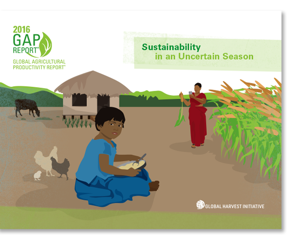 Cover for 2016 GAP Report.