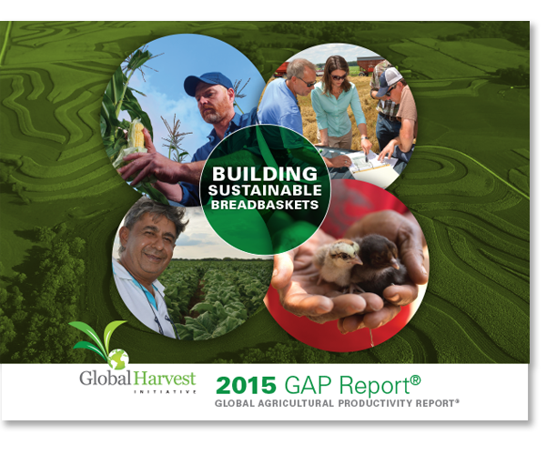 Cover of the 2015 GAP Report.