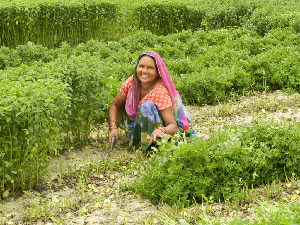 Empowering Women Farmers In India One Signature At A Time Virginia Tech Cals Global