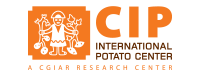 Logo for International Potato Center.