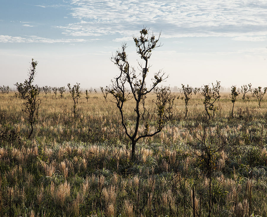 systemshocks-extremeweather1