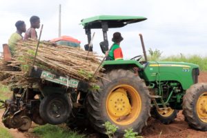 Farmers on a John Deere tractor move cassava